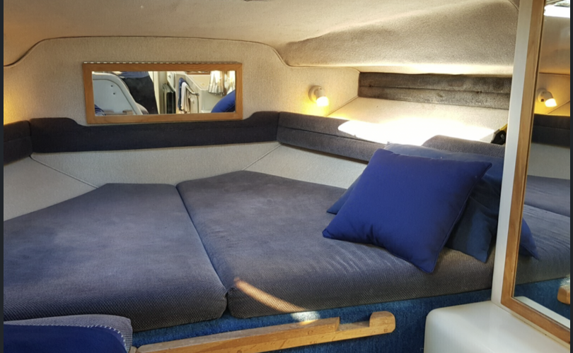 Sea Ray 290 SDA-kuva-7